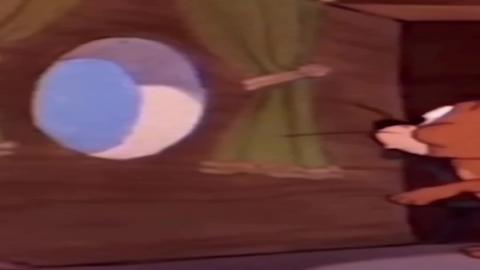 Jerry Was Shocked By A Couple Of Wolves!