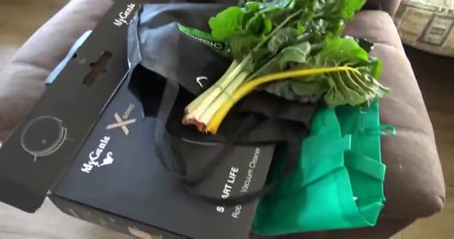 Toowoomba farmers maket for piggy food