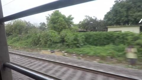 Paddy Fields of Rural Bengal | West Bengal