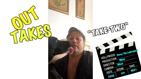 Percy the Black Labrador 2020 roundup with Phone Clips