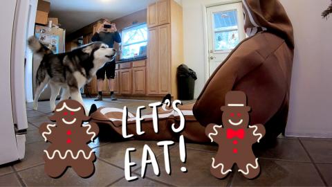 Christmas Prank On My Dogs | Monroe Bit Me