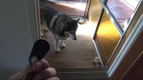GPS for Husky lets try it