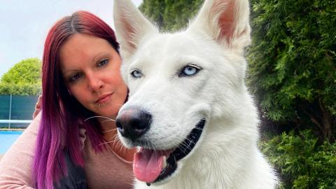 how my dog changed my life