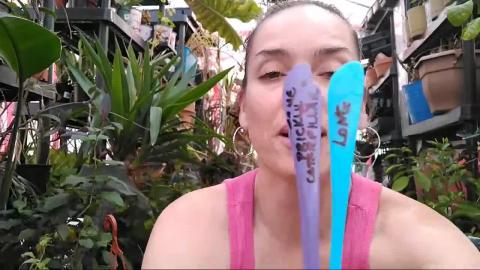 How To Plant Beans: Kitchen Gardening With Kimberly