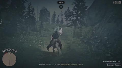 Legendargry midnight Paw Cayotee in Red Dead Online