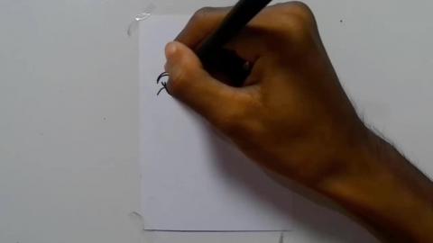 Draw Graffiti carrot cross cartoon shorts