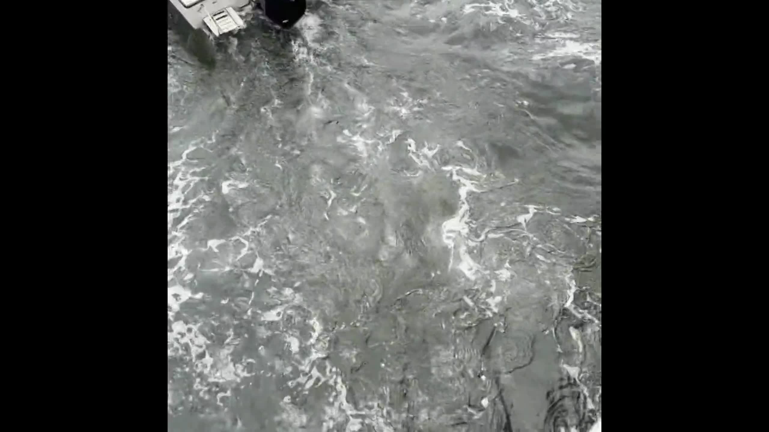 Couple gets engaged on boat by Bradenton Yacht Club Bradenton Herald