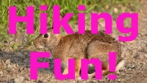 Fun Nature Hike
