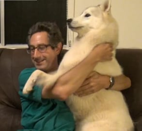 Hug my Husky challenge