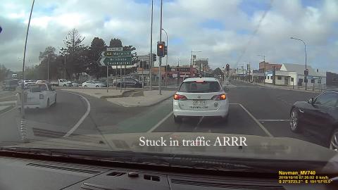 Out for a drive, spotted a kangaroo (wallaby) & dodged a ...