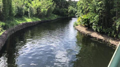 FIRST LOOK - Animal Kingdom - Chip 'n Dale & Goofy Waterc...