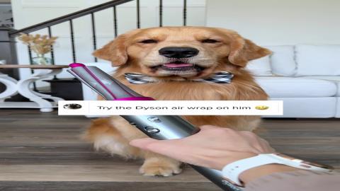 Who Keeps Giving Linda These Ideas?