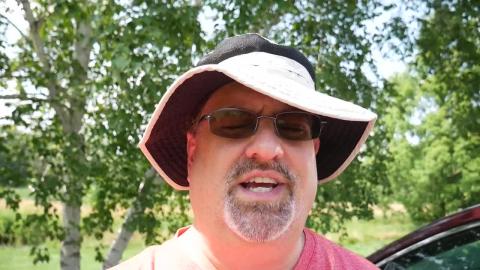 Turkey Vulture and Tree Collection