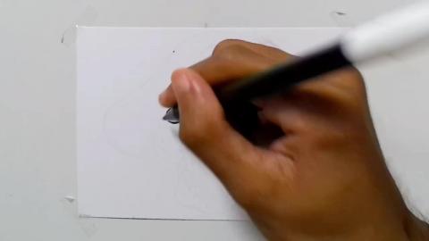 Drawing pirate-skull-cocked-hat_shorts