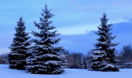 A Typical Winter Day in Canada. Snow, freezing rain, suns...