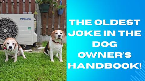 The Oldest Joke in the Dog Owner's Handbook!
