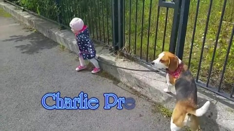 Baby and Dog Take Each Other For a Walk 