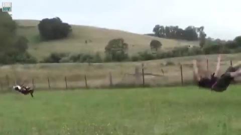 Funny video - Epic FAILS!