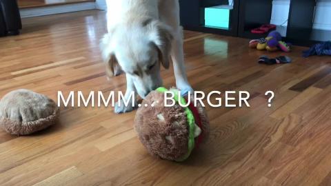 Lola and the Fluffy Burger 