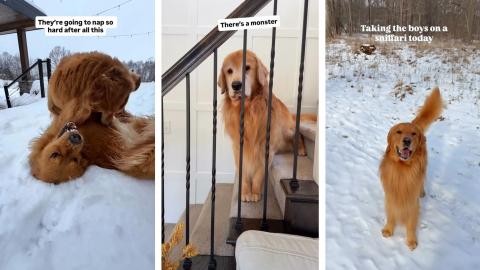 We Got Snowed In...and there was a MONSTER!