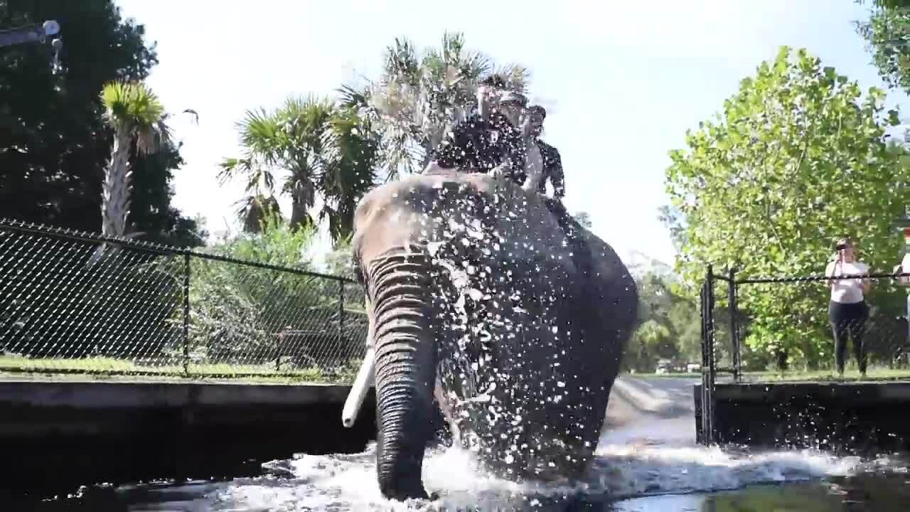 The ACE Family visits Bubbles the elephant in Myrtle Beach Myrtle