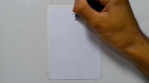 Drawing pretty girl zombie graffiti shorts