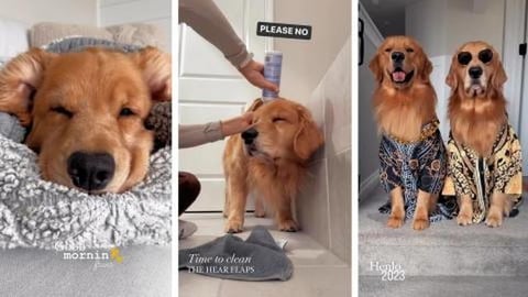 Please Don't Clean Our Ears!