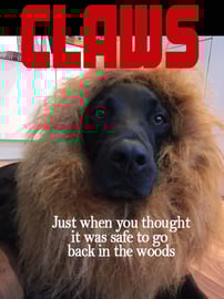 Our Dog Percy the Labrador Retriever has the Scariest Dog...