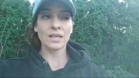 No Figs No Worries! Use The Leaves: Gardening With Kimber...