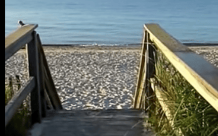 Travel: The Beautiful beach at Seaside Cottages South Yar...