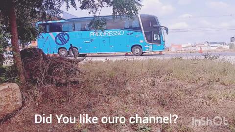 Progresso bus
