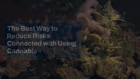 The_Best_Way_to_Reduce_Risks_Connected_with_Using_Cannabi...