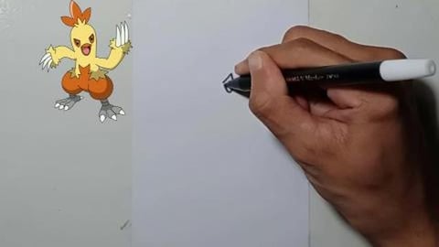 Drawing Pokemon Combusken