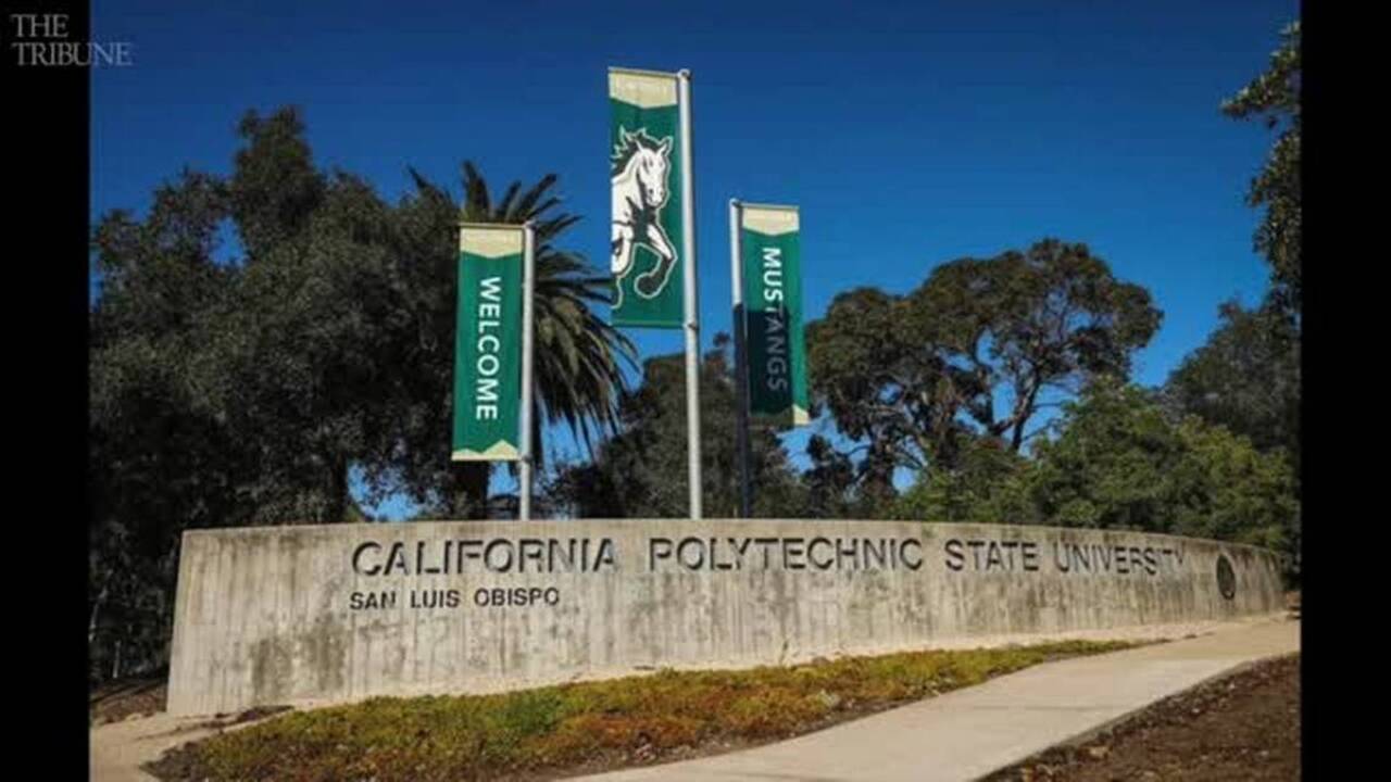 CA universities made millions from application rejections Sacramento Bee