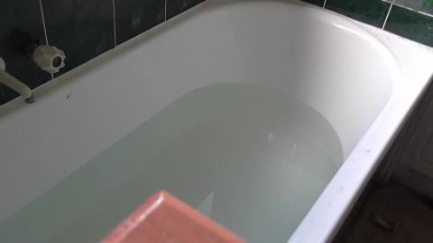 Husky Wolf gets first bath, I get soaked (part 1 of 2)