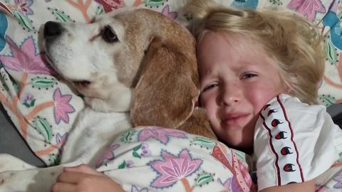 This is what I get every morning. Angry faces and stinky ...