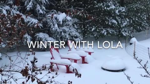 Winter with Lola in Canada 