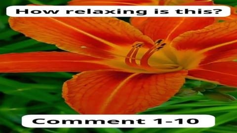 Escape the Stress: How Relaxing This Really Is! Volume 74...