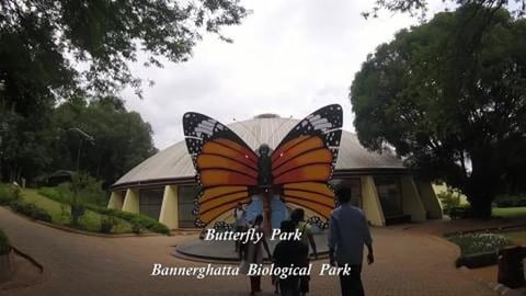 World of Butterflies | Bannerghatta Butterfly Park | Beng...