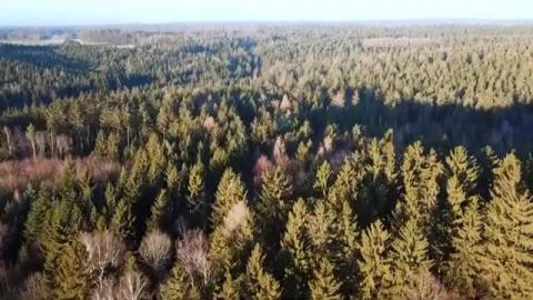 Relaxing Piano Music _ Romantic Music, Beautiful Music, S...