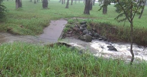 East Creek is sure flowing and Husky girl has to check ou...