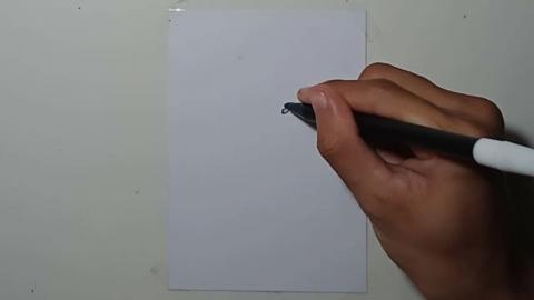 Drawing tatto v16 2024