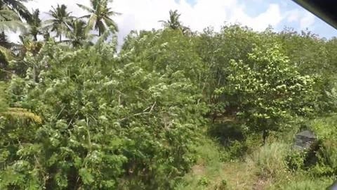 On The Way To Kanyakumari | Tamil Nadu