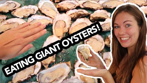 Eating Giant Oysters in Japan!