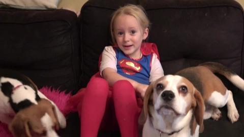 Funny puppy and child playing with laser pointer 