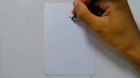 Drawing Blue Macaw