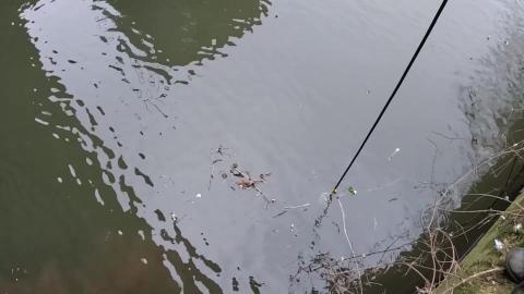 OUR CRAZIEST MAGNET FISHING FIND