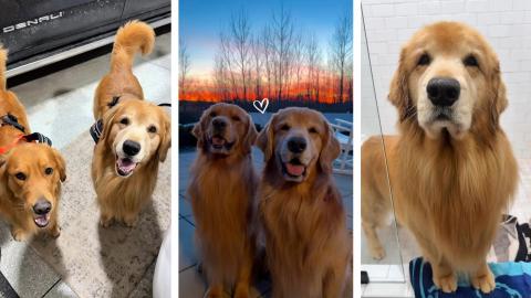 We Need Exercise and a Butt Scrub!