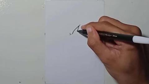 Drawing Frezzer Shorts