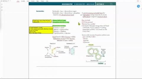 USMLE Mnemonics_ Biochem _Molecular_ Nucleotides
